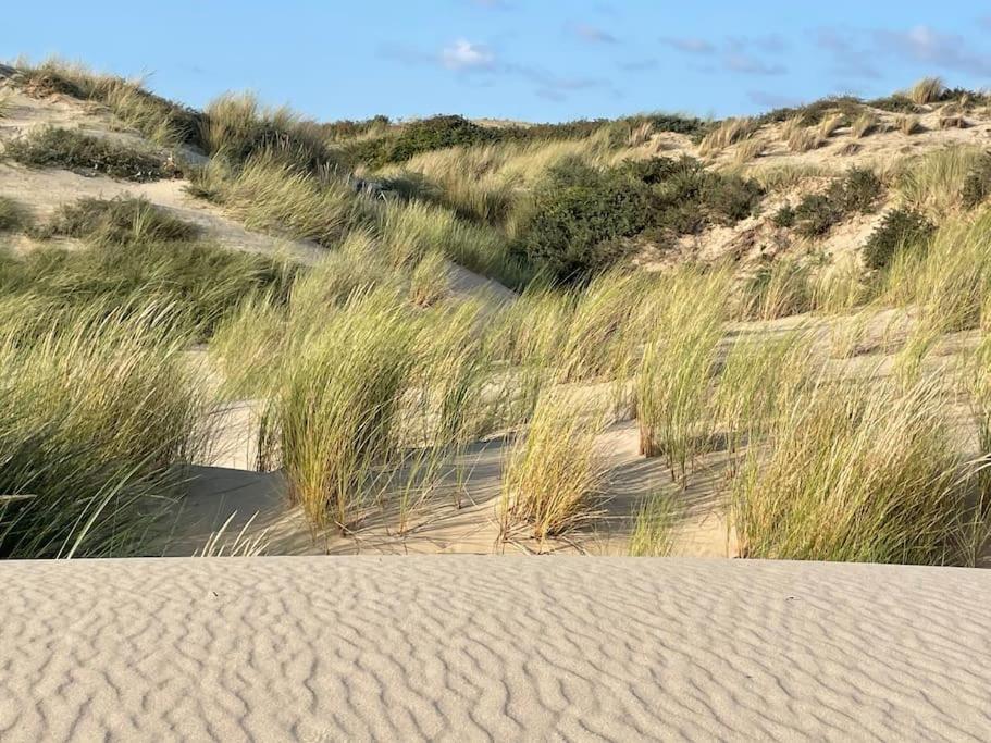 Charmante Maison Individuelle Proche Du Touquet Cucq Exteriör bild